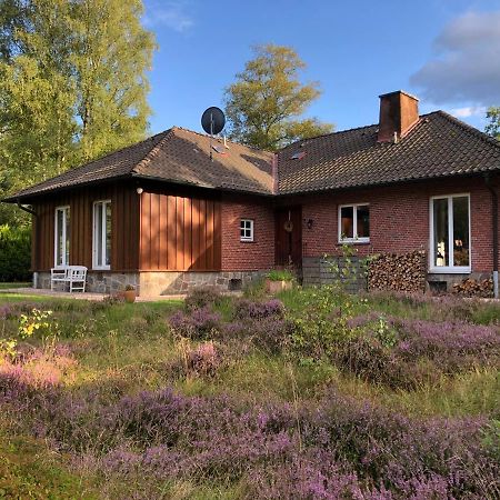 Landhaus mitten in der Lüneburger Heide Undeloh Exterior foto