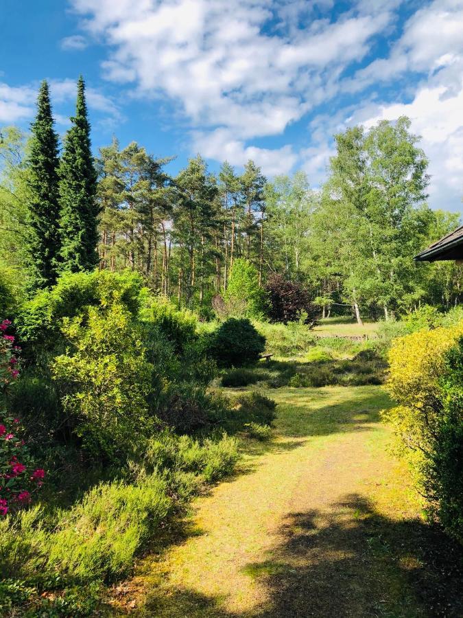 Landhaus mitten in der Lüneburger Heide Undeloh Exterior foto